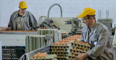 Import jaj wystrzelił. Z tego kraju sprowadzamy najwięcej