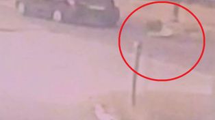 Wielkopolska: Wypadek w Damasławku. 13-letni rowerzysta wjechał pod samochód