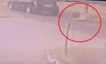 Wielkopolska: Wypadek w Damasławku. 13-letni rowerzysta wjechał pod samochód