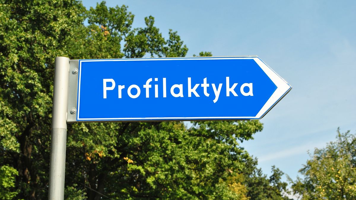 Profilaktyka