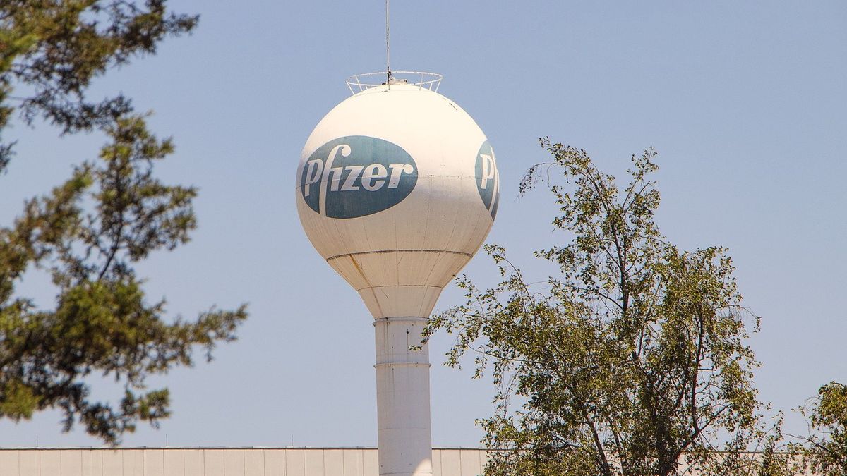 Zdjęcie ilustracyjne.