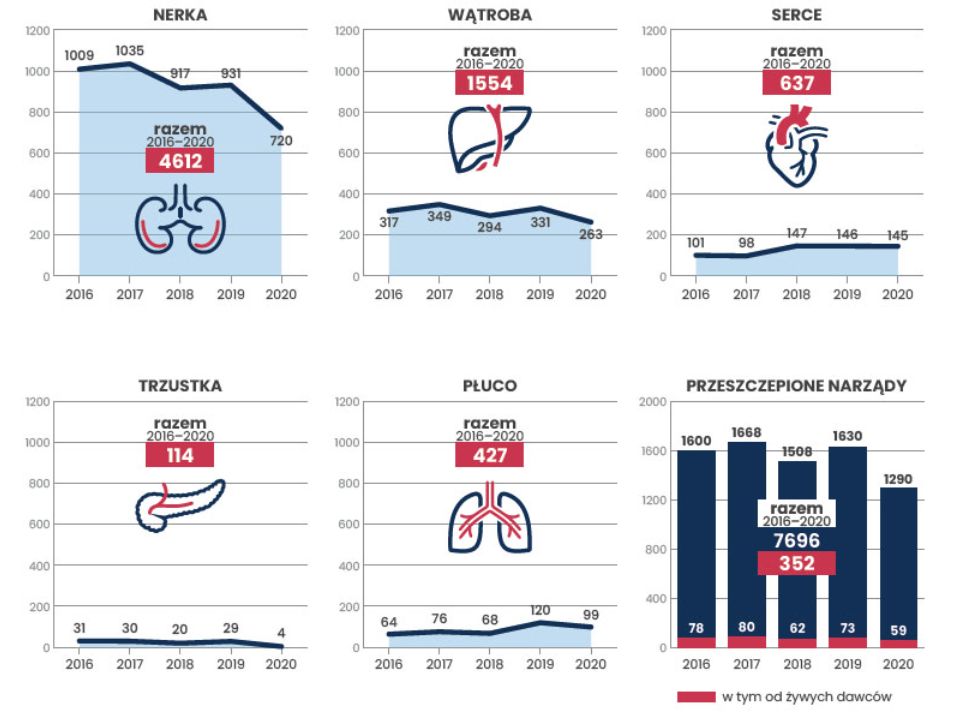 Najczęściej przeszczepianym narządem w Polsce jest nerka