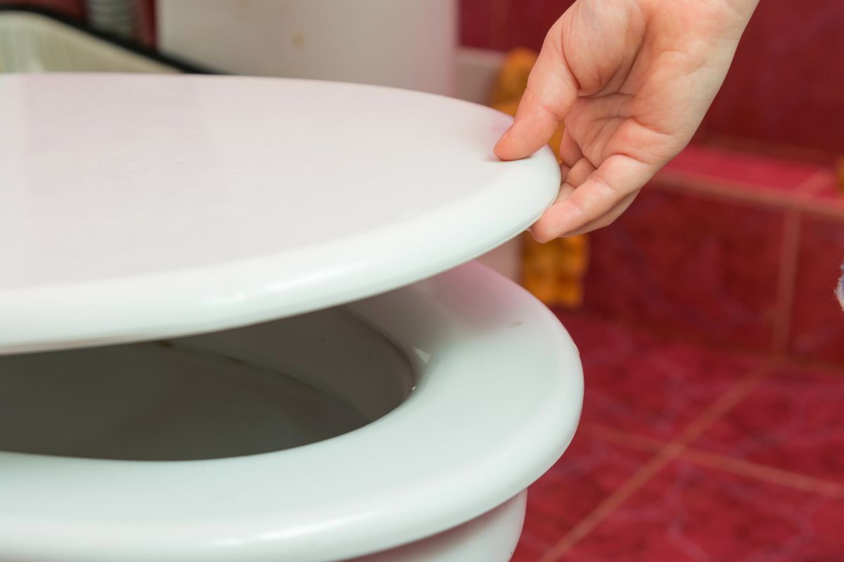 How to clean a toilet seat using the hidden feature?
