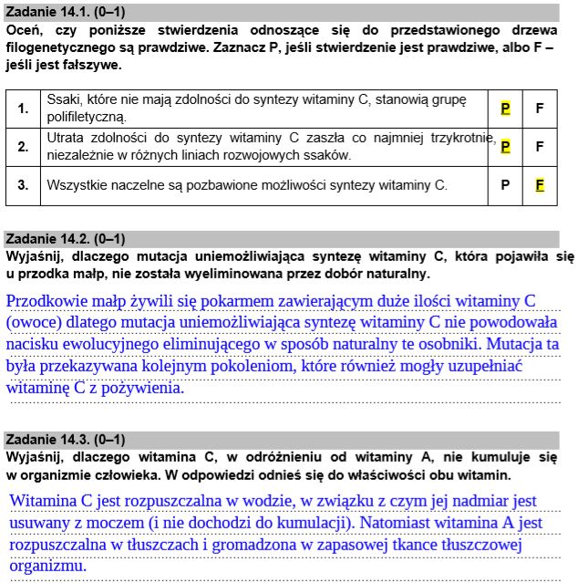 Propozycje rozwiązań opracowane przez nauczycieli z www.maturita.pl