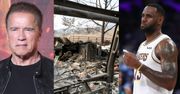 Pożary w Kalifornii. Ewakuowano LeBrona Jamesa i Arnolda Schwarzeneggera