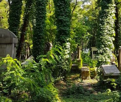 Warszawa. Pogrzeb po 78 latach. Ofiara z getta pochowana