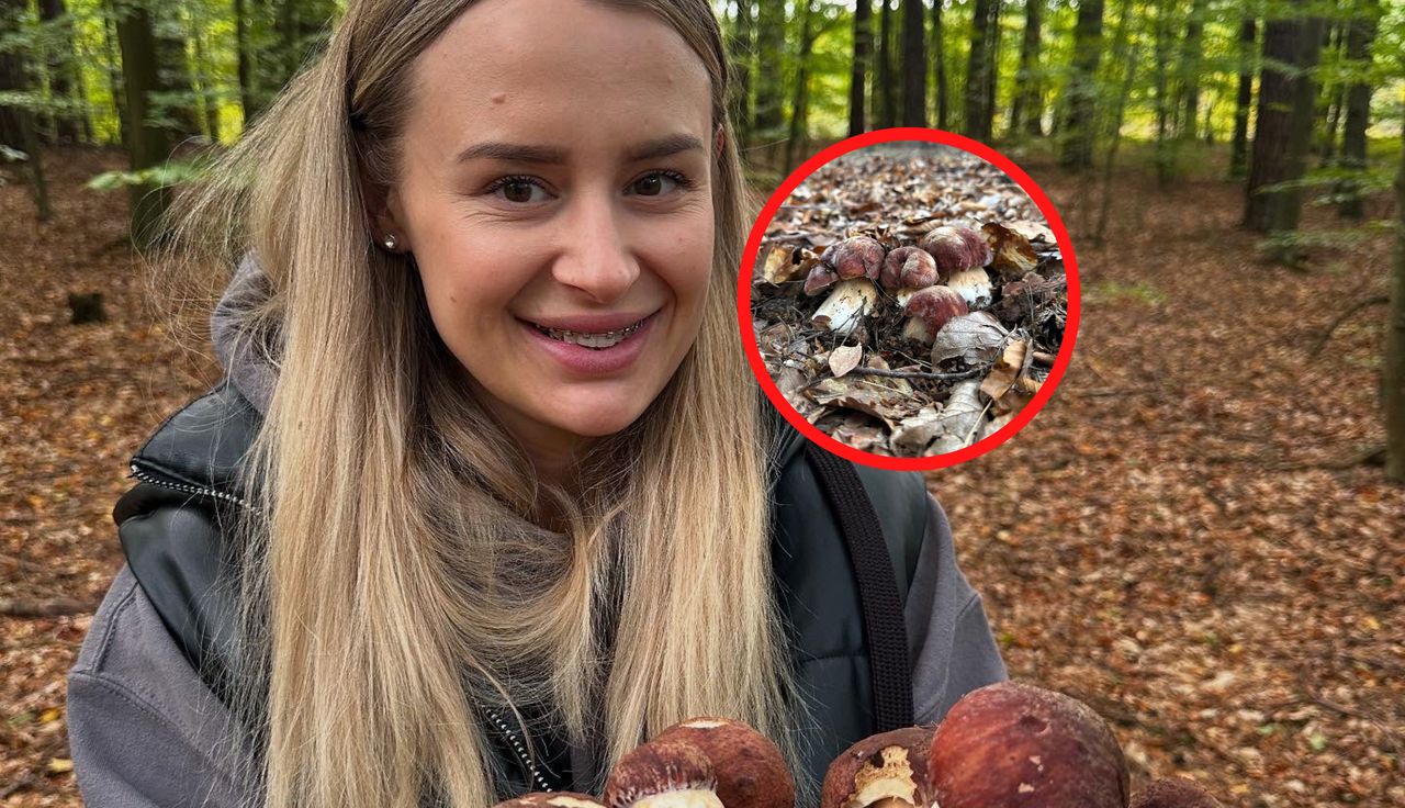 "Wreszcie się udało". Aż chwyciła za telefon w lesie