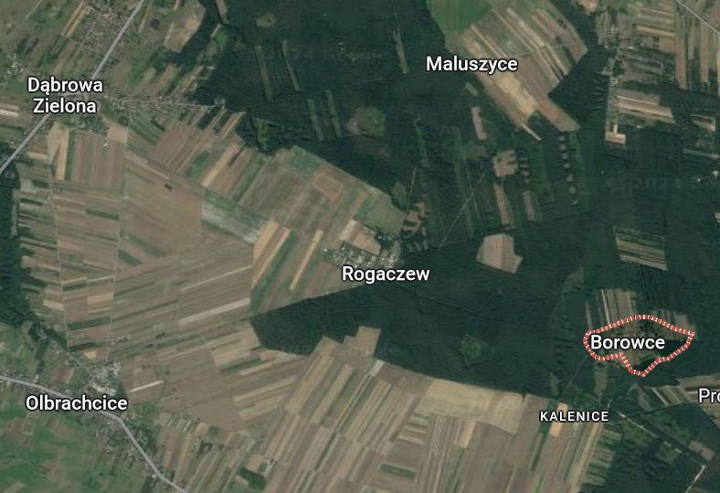 Dąbrowa Zielona leży zaledwie 5 km od Borowców, gdzie doszło do strasznej zbrodni