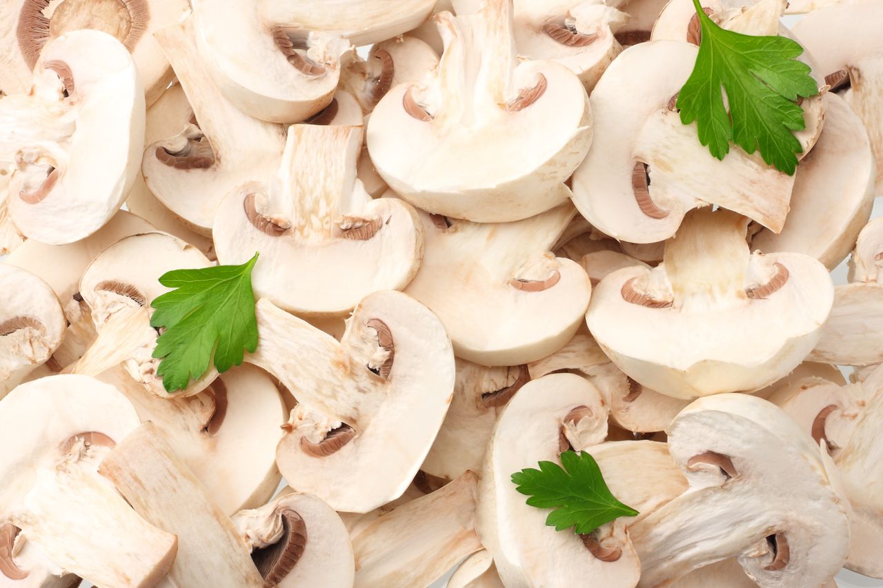 Mushrooms debunk myths: A powerhouse of nutrients and health benefits