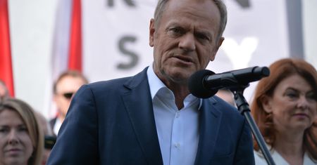 "Pszczółka Mejza". Tusk kpi z PiS-u, dostał szybką odpowiedź