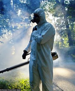 800 zł dzięki komarom. Tak zarabiają ci przedsiębiorcy