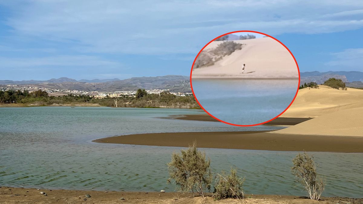 Kobieta weszła na ten teren nielegalnie