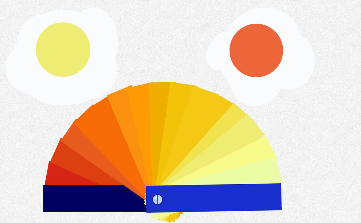 Kolor żółtka, a jakość jajka