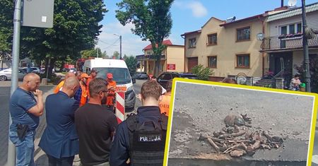 Kości w Pakości. Historia wyszła spod ziemi tuż przy Ratuszu