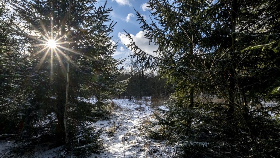 Dowiedz się, dokąd uciec przed szkodliwym smogiem. W tych zakątkach Polski nie dopadnie cię zanieczyszczone powietrze.