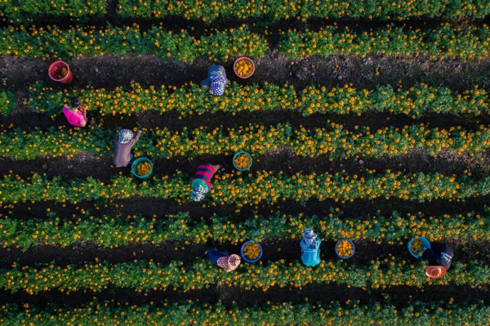 Najlepsze zdjęcia z dronów w 2017 roku według portalu Dronestagram 13