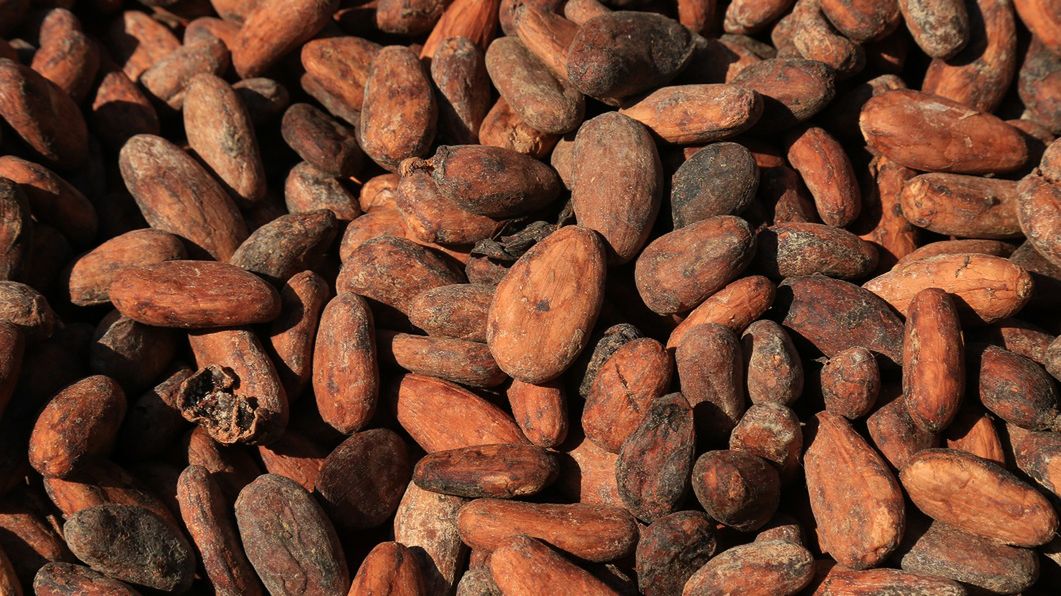 Kakao to jeden z najlepszych pokarmów dla serca