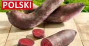 Krzywe buraki już w sprzedaży w Lidlu. Promocyjna cena