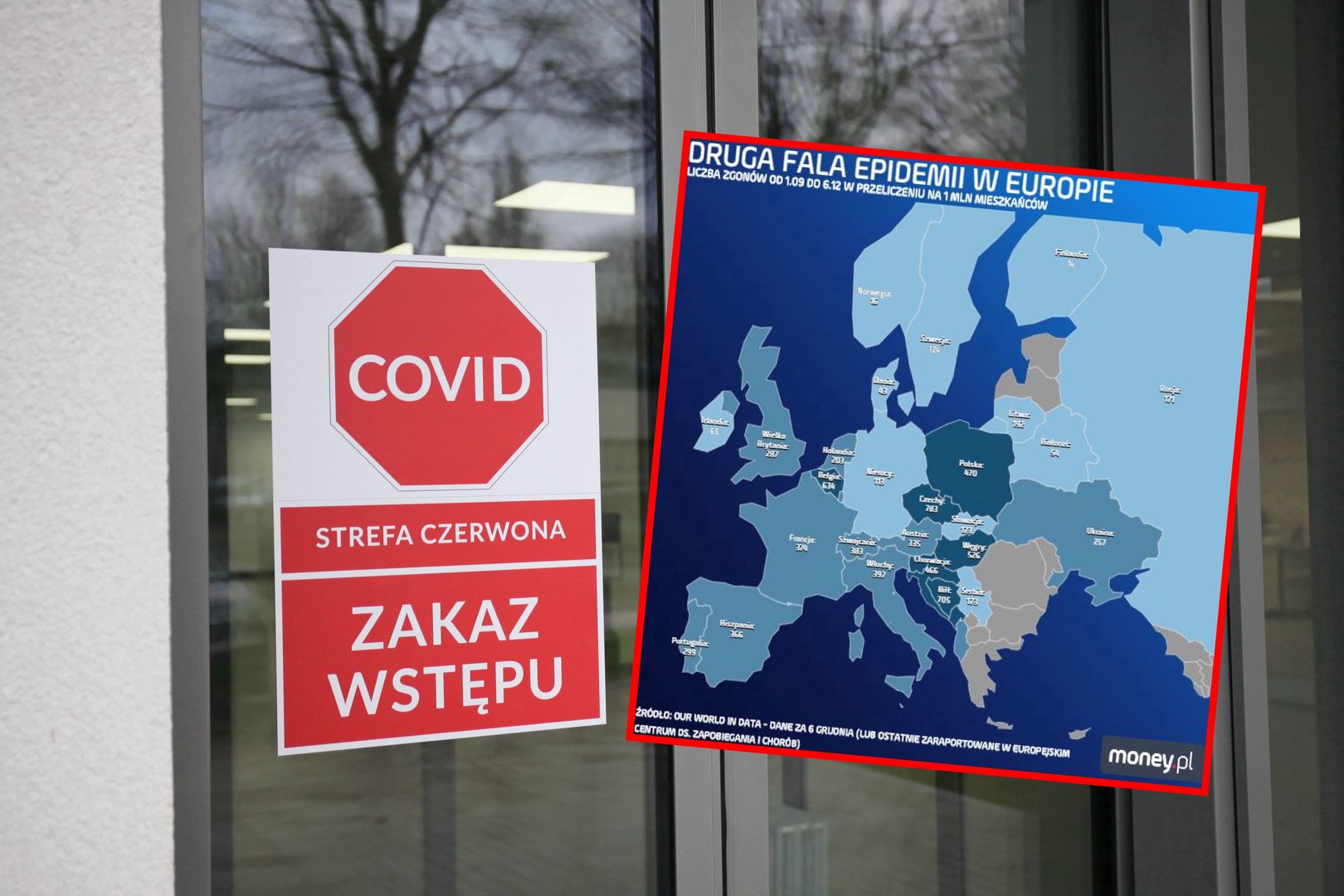 COVID-19 w Polsce a w innych krajach. Wynik porównania jest wstrząsający