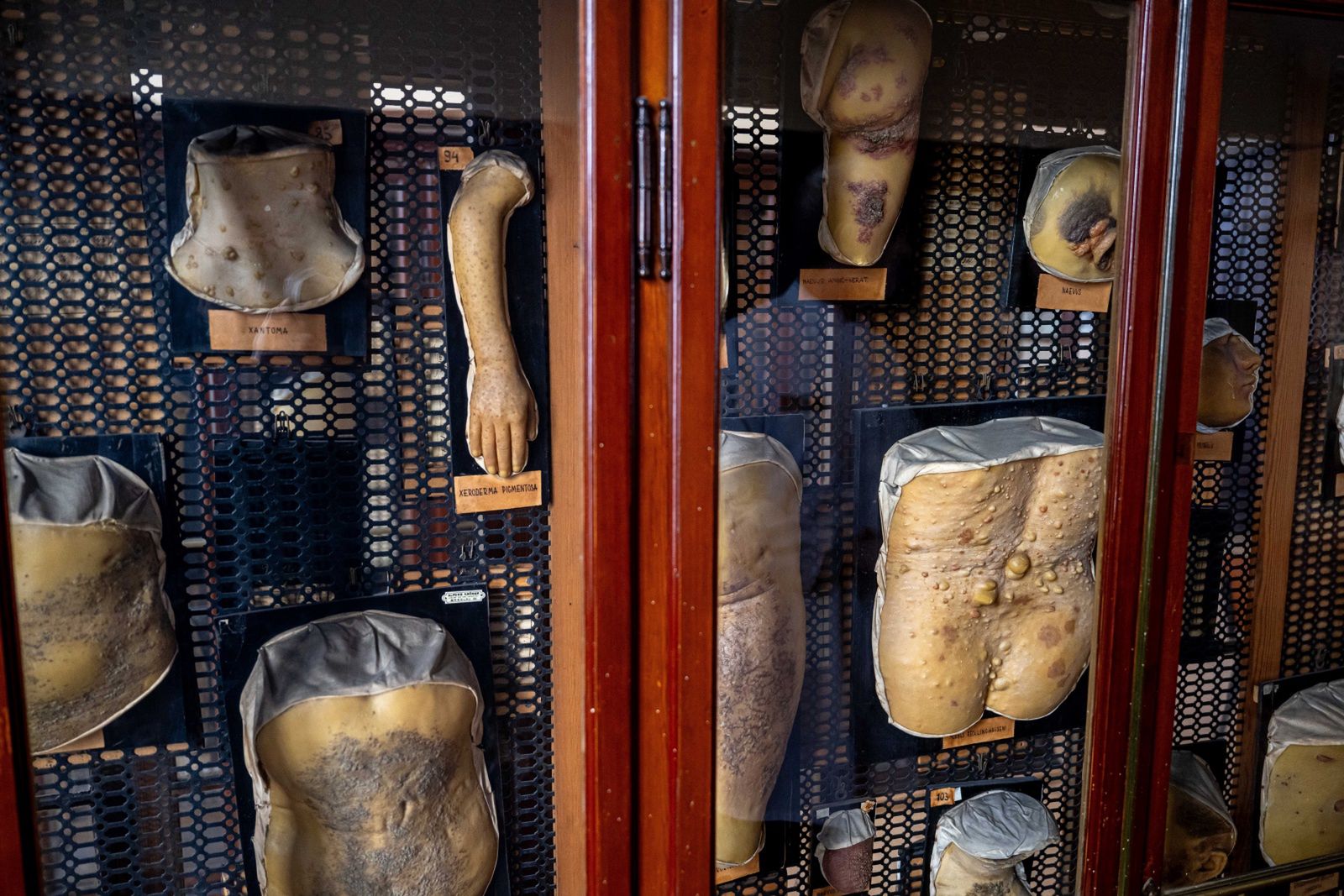 Odlewy są bardzo realistyczne