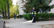 Warszawa: Spacerował ulicą jak gdyby nigdy nic. Interweniowały służby