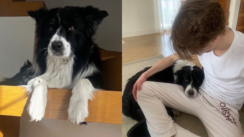 Dom Anety Kręglickiej