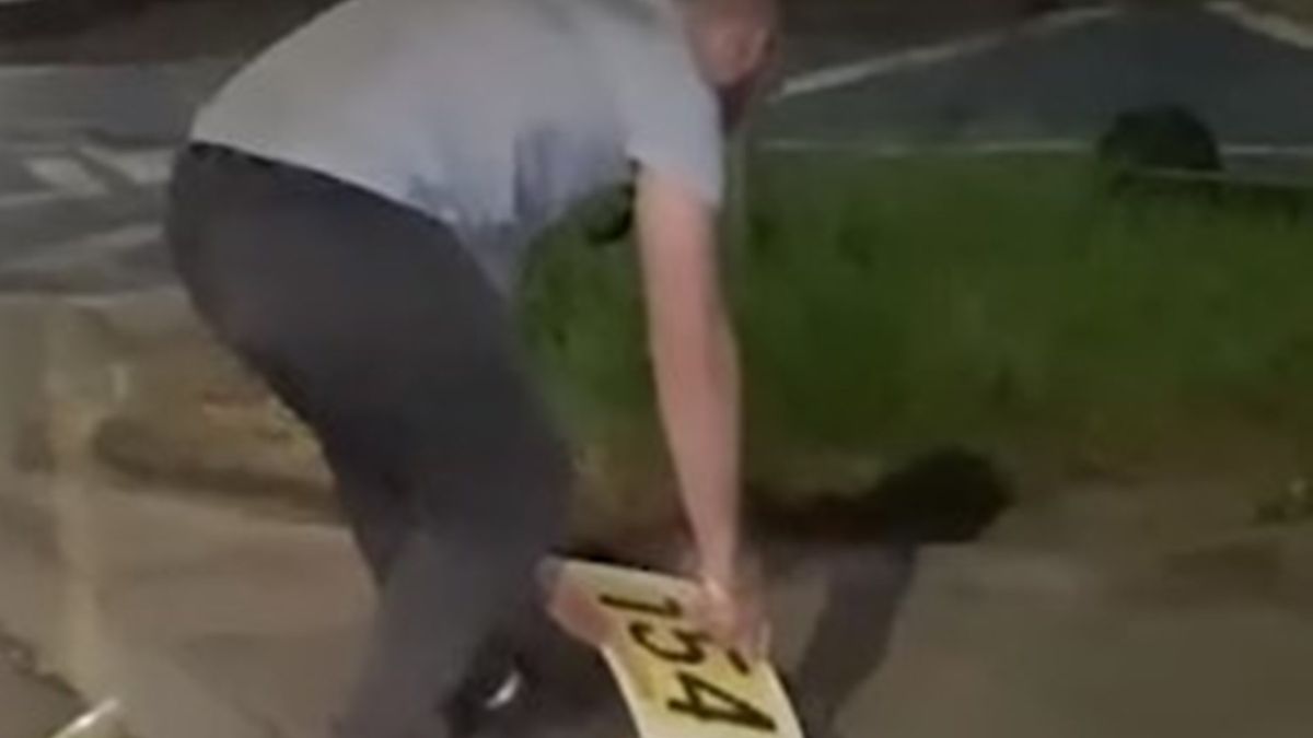 Kierowca autobusu zatrzymał kurs, by uratować jeża