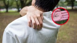 Tysiące nowych chorych. W mieście zaraża już co czwarty kleszcz