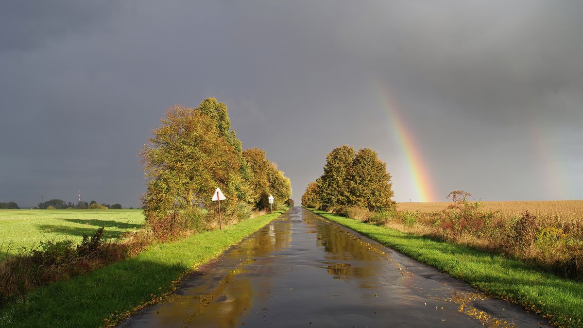 Okolice Hrubieszowa to oaza ciszy i spokoju
