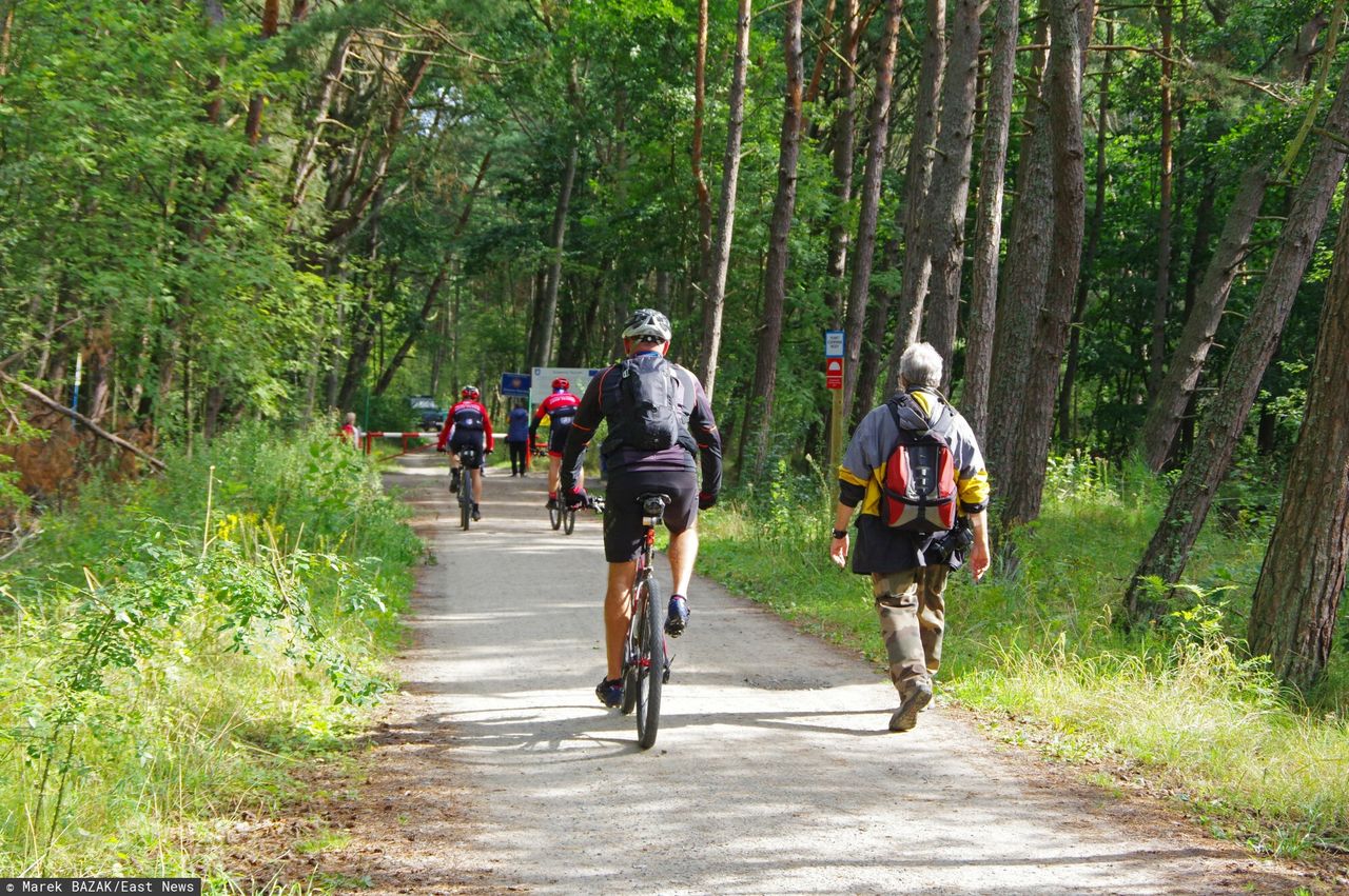 Wielka gratka dla turystów. Wybudują 125 km trasy przez las