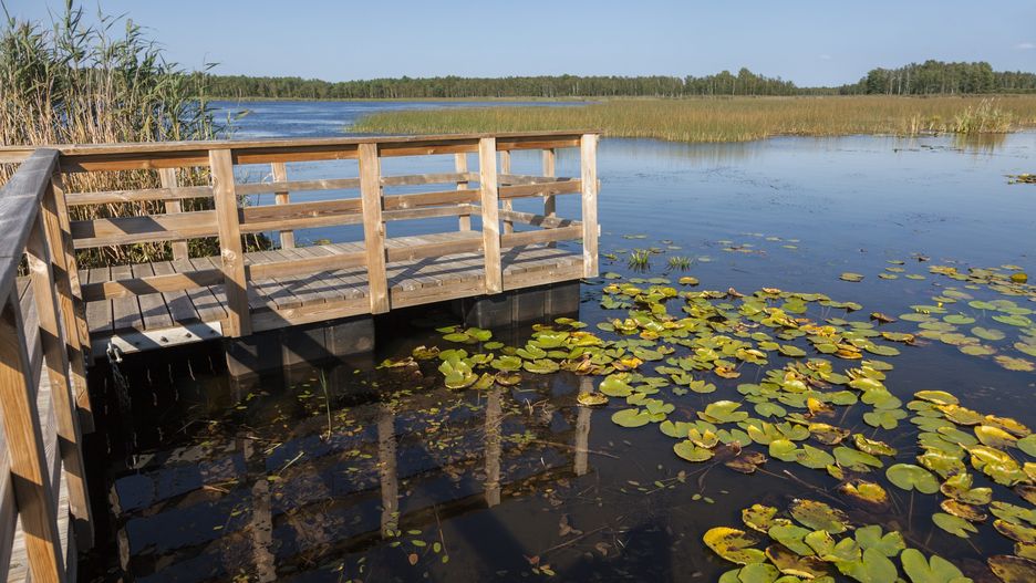 Poleski Park Narodowy