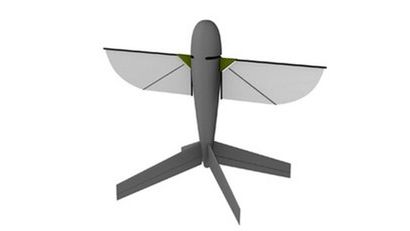 Najmniejszy UAV macha skrzydłami jak ptak 1