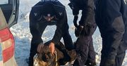 Przysowy: Policjanci uratowali przemarzniętego psa