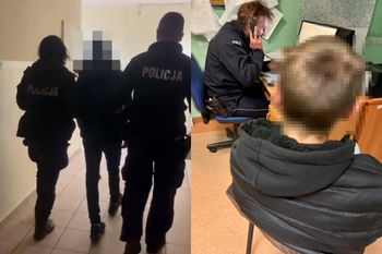 Brutalny atak na 13-latkę w lesie. Decyzja w rękach sądu