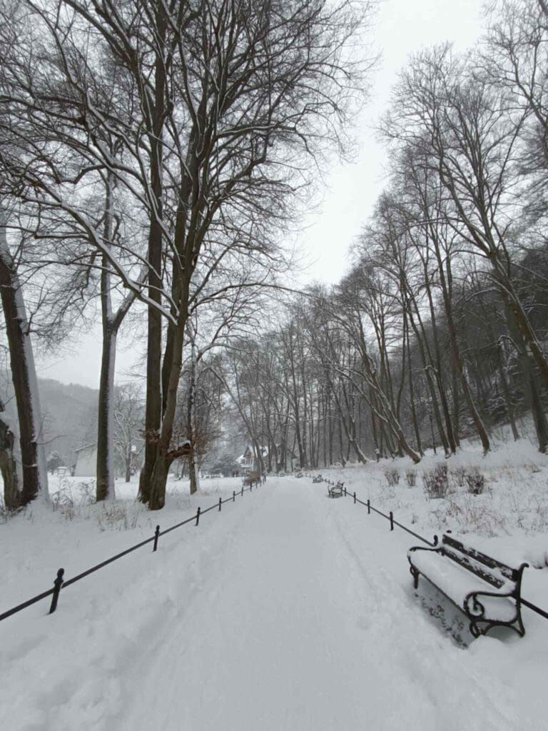Ojcowski Park Narodowy zimą