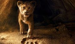 W marcu na HBO GO: „Król Lew”, „Toy Story 4”, „Diego”, nowe sezony „Westworld” i „Kłamstw”