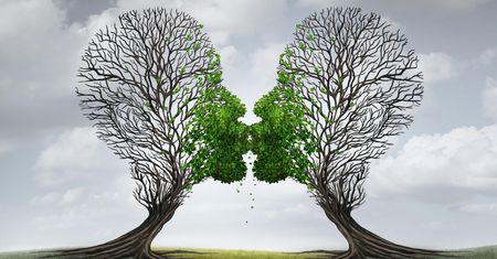 Rozwój związku a psychoterapia par