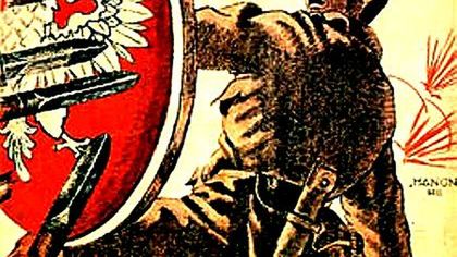 TVP HD z materiałem 3D Jerzego Hoffmana 1