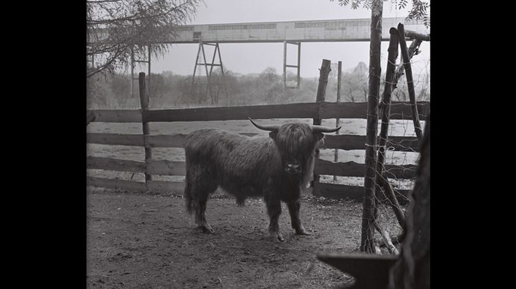 Inspiracje dokumentalne #5 1