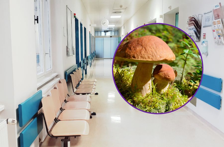 Mushroom poisonings on the rise: Doctors urge caution