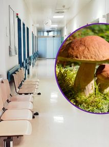 Mushroom poisonings on the rise: Doctors urge caution