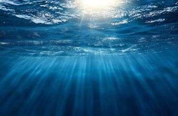 Jego długość to 14 800 km. Położą go na dnie oceanu