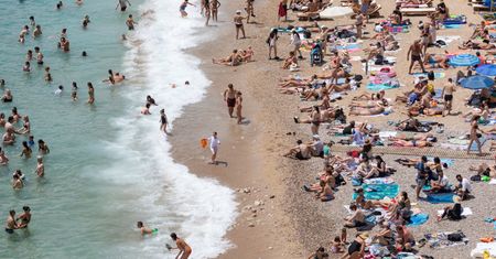 Dramatyczne chwile na plaży w Chorwacji. Żmija ukąsiła dziecko