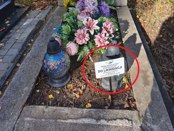 Zobaczyła tabliczkę "Grób do likwidacji". Oto, co zrobiła