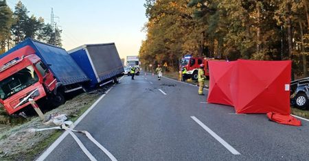 Kolonia Lisów: Zjechał na czołówkę z ciężarówką. 49-letni mężczyzna zginął na miejscu