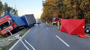 Kolonia Lisów: Zjechał na czołówkę z ciężarówką. 49-letni mężczyzna zginął na miejscu