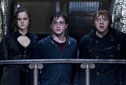 Harry Potter i Insygnia Śmierci: Część II - online w TV - fabuła, bohaterowie, gdzie obejrzeć