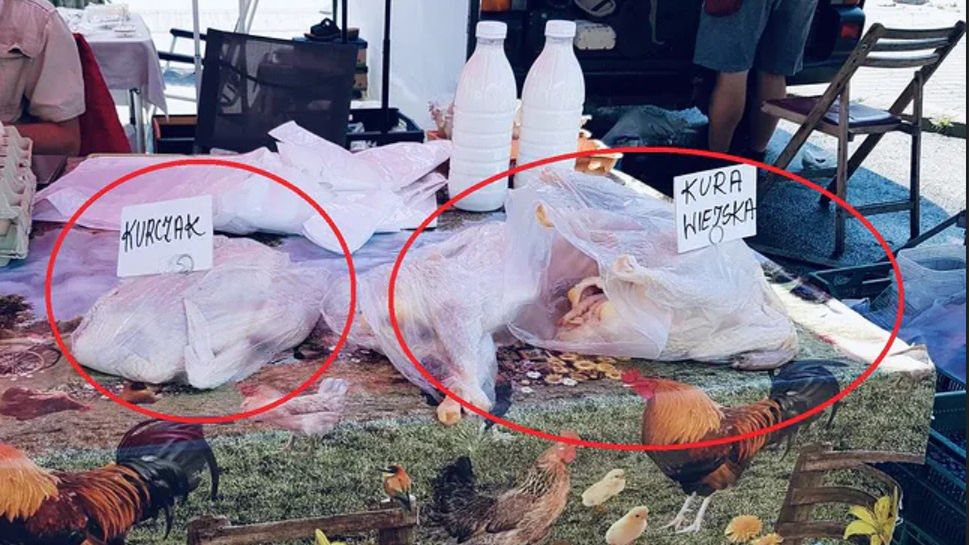 Jak wygląda higiena na polskich bazarach. Samemu można się przekonać.