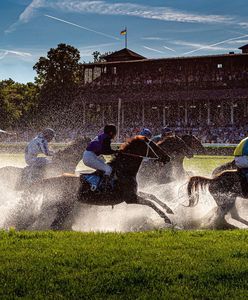 Wrocław. Gonitwy przeszkodowe wracają na Partynice. W środę szykują się nie lada emocje