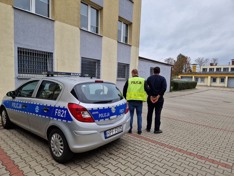 zabicie psa, znęcanie nad zwierzętami, kutno Bił, kopał i rzucał psem. 27-latkowi grozi więzienie